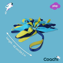 Load image into Gallery viewer, Coachi Tuggi Spider Navy, Lime &amp; Light Blue