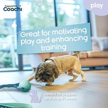 Load image into Gallery viewer, Coachi Puppy &amp; Mini Tuggi Ball Teal &amp; Mint