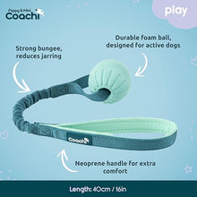 Load image into Gallery viewer, Coachi Puppy &amp; Mini Tuggi Ball Teal &amp; Mint