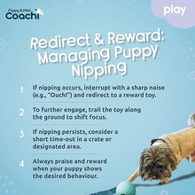 Load image into Gallery viewer, Coachi Puppy &amp; Mini Tuggi Ball Teal &amp; Mint