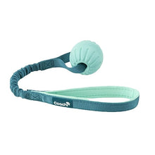 Load image into Gallery viewer, Coachi Puppy &amp; Mini Tuggi Ball Teal &amp; Mint