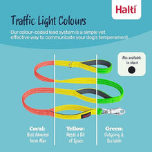 Load image into Gallery viewer, Halti BRIG Safety Lead
