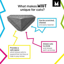 Load image into Gallery viewer, MIUT Climber - Small