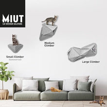 Load image into Gallery viewer, MIUT Climber - Small