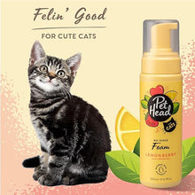 Load image into Gallery viewer, Pet Head Felin' Good Foam 200ml/6.7 fl oz