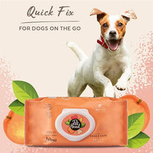 Load image into Gallery viewer, Pet Head Quick Fix Wipes 80pk