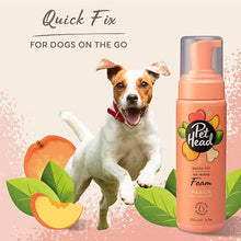 Load image into Gallery viewer, Pet Head Quick Fix Foam 200ml/6.7 fl oz