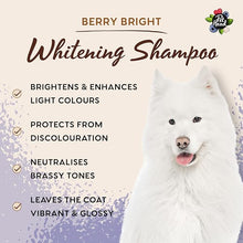 Load image into Gallery viewer, Pet Head Berry Bright Shampoo 300ml/10.1 oz