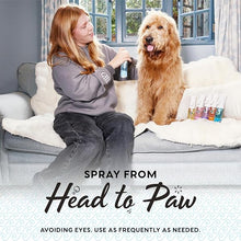 Load image into Gallery viewer, Pet Head Hair Mist Sea Salt 100ml/3.5 oz