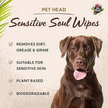 Load image into Gallery viewer, Pet Head Sensitive Soul Wipes 100ct.