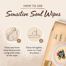 Load image into Gallery viewer, Pet Head Sensitive Soul Wipes 100ct.