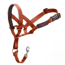 Load image into Gallery viewer, Company of Animals - Halti Headcollar