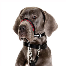 Load image into Gallery viewer, Company of Animals - Halti Optifit Headcollar