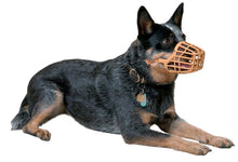Load image into Gallery viewer, Baskerville Muzzle
