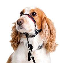 Load image into Gallery viewer, Company of Animals - Halti Optifit Headcollar