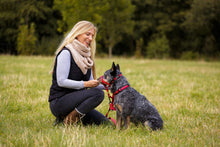 Load image into Gallery viewer, Company of Animals - Halti Headcollar