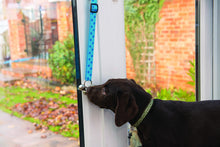 Load image into Gallery viewer, COA Toilet Training Bells
