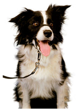 Load image into Gallery viewer, Halti Link Black One Size Fits all