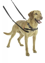 Load image into Gallery viewer, HALTI Training Lead
