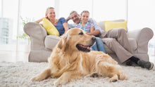 Load image into Gallery viewer, The Company of Animals - Pet Corrector