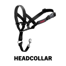 Load image into Gallery viewer, Company of Animals - Halti Headcollar