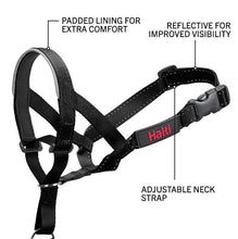 Load image into Gallery viewer, Company of Animals - Halti Headcollar