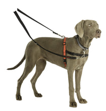 Load image into Gallery viewer, HALTI Front Control Harness