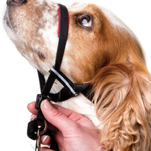 Load image into Gallery viewer, Company of Animals - Halti Optifit Headcollar