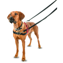 Load image into Gallery viewer, HALTI Front Control Harness
