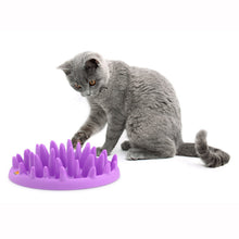 Load image into Gallery viewer, Catch Interactive Cat Feeder