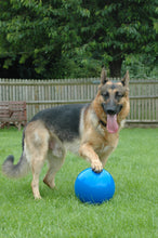 Load image into Gallery viewer, The Company of Animals - Boomer Ball