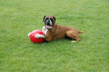 Load image into Gallery viewer, The Company of Animals - Boomer Ball