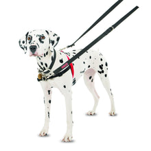 Load image into Gallery viewer, HALTI Front Control Harness